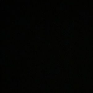 Meet your Posher, Ani